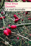 Vieil incendie (Le)